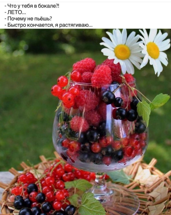 ягоды летом