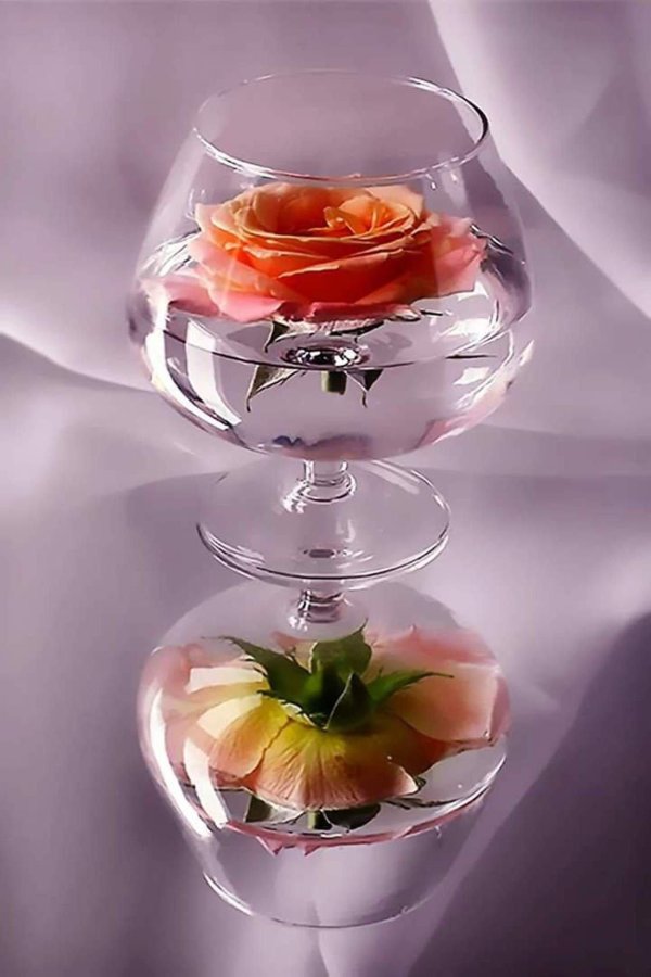 розы в стеклянной вазе