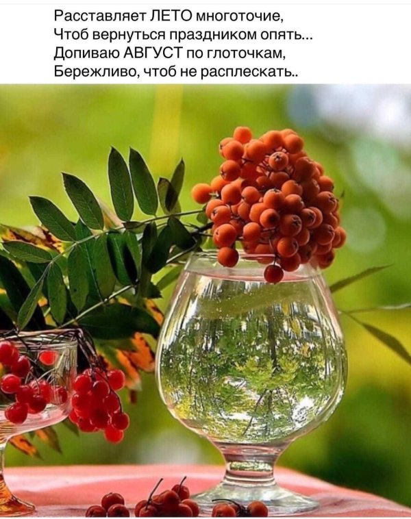 рябины гроздья алые