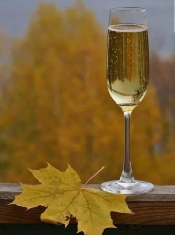 шампань гласс бокал