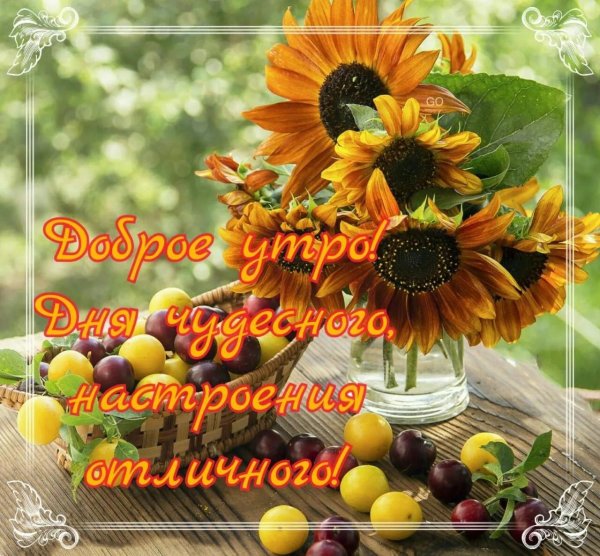 доброго августовского утра