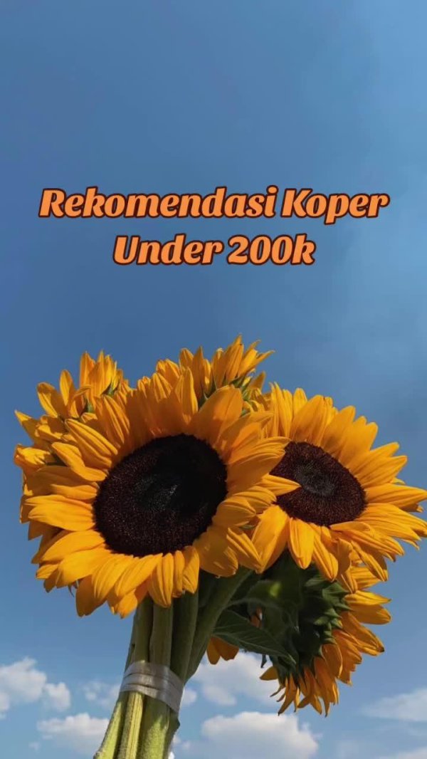 цветок подсолнечника