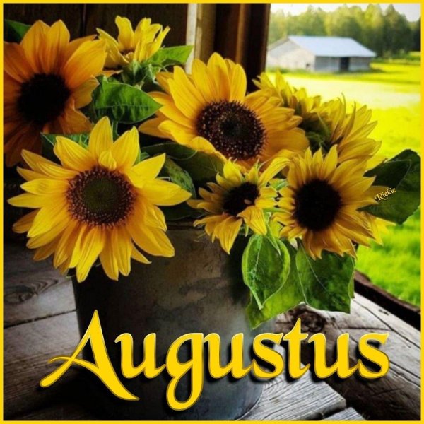 август август