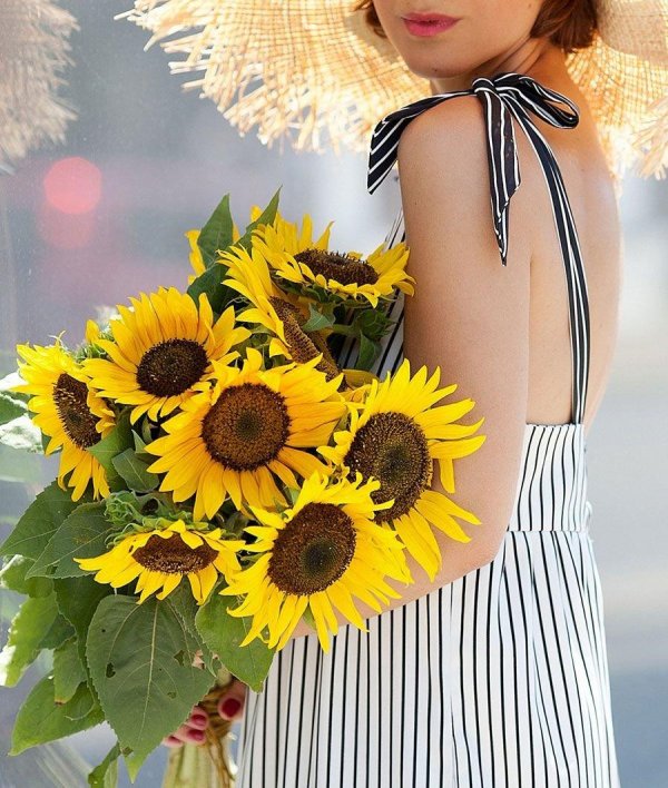 подсолнухи фотосессия