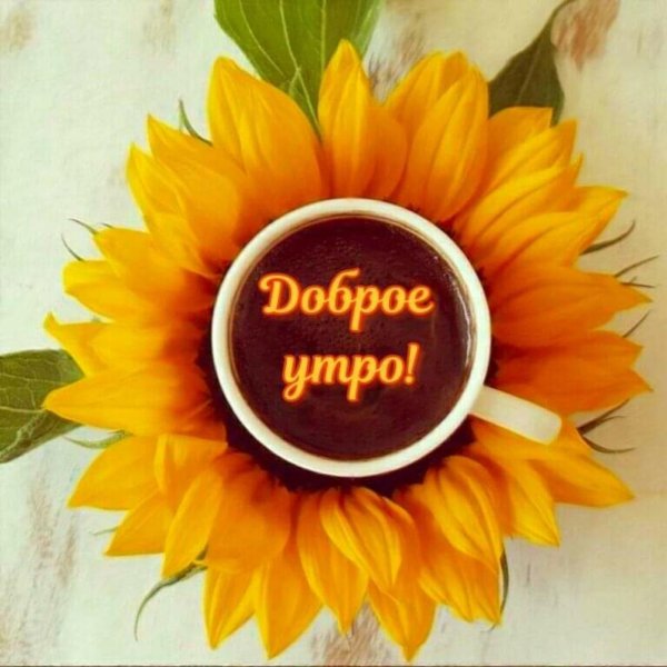 чай с подсолнухом