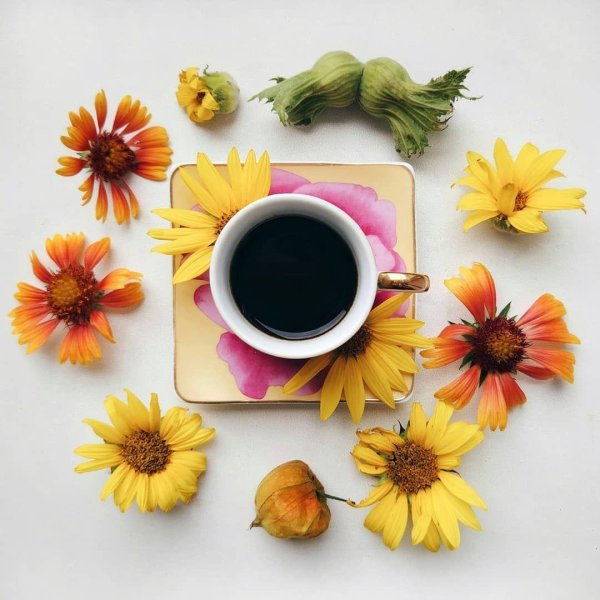 утро подсолнухи