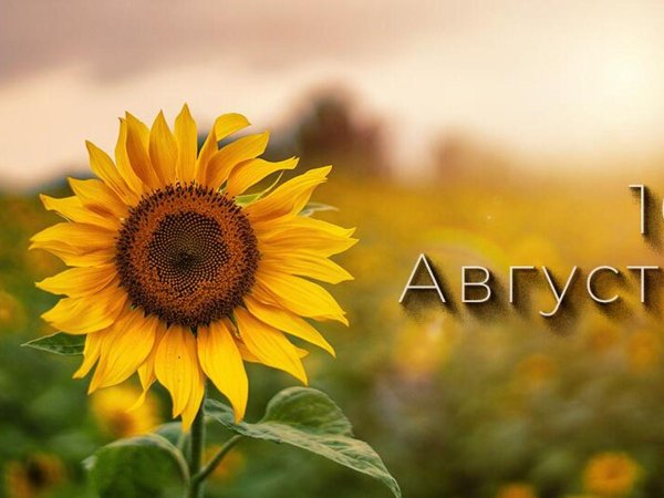 август август