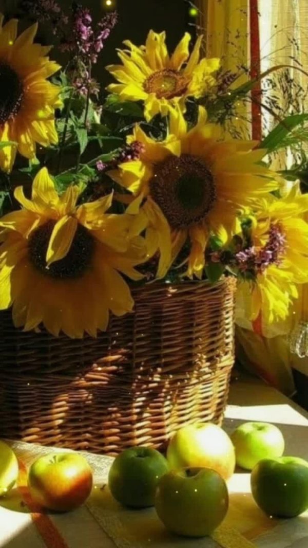 антонина кривичанина подсолнухи