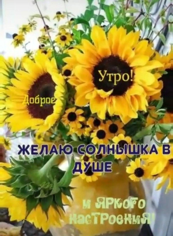 доброе утро иосдолнузи