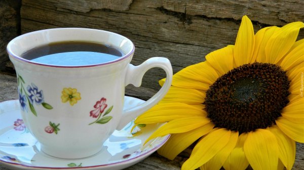 кофе подсолнечник