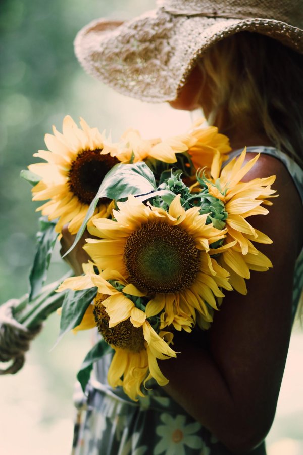 фотосессия в подсолнухах идеи для девушки