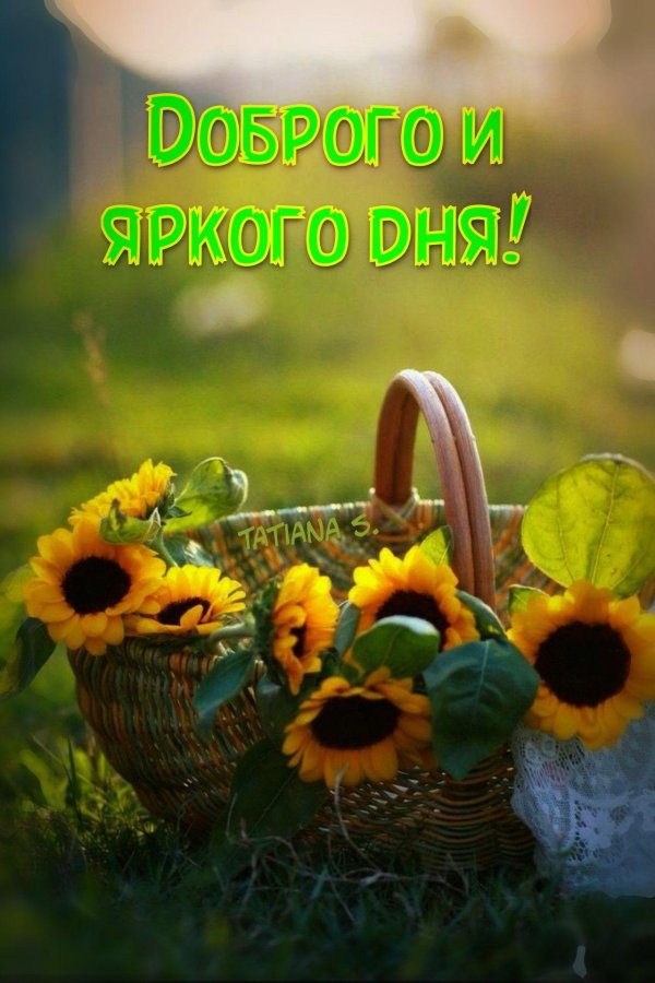 доброго летнего утра