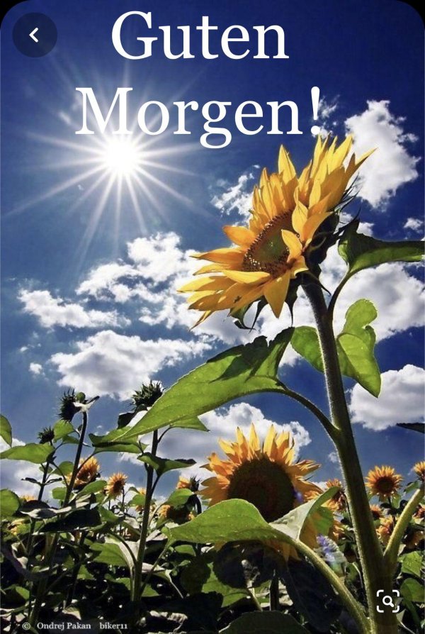 природа солнце