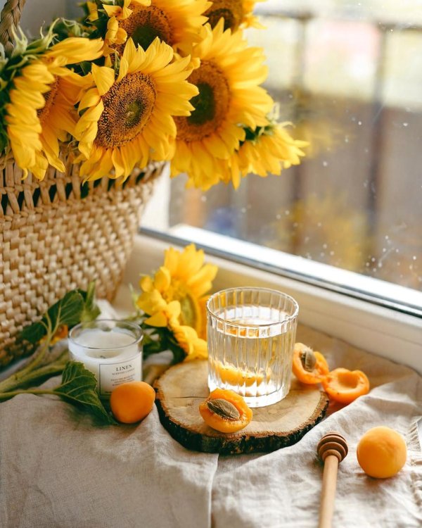 летнее утро доброе