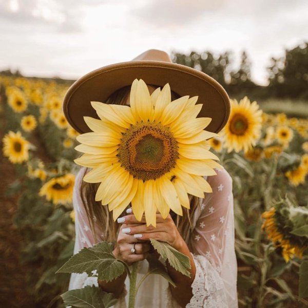 фотосессия в подсолнухах идеи для девушки