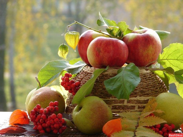 осенние дары природы