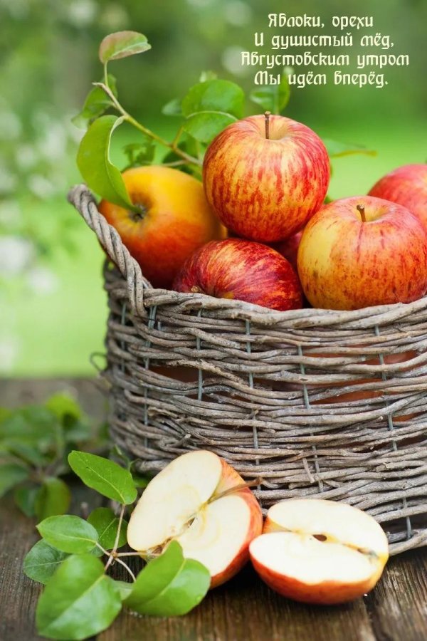 осенние яблоки