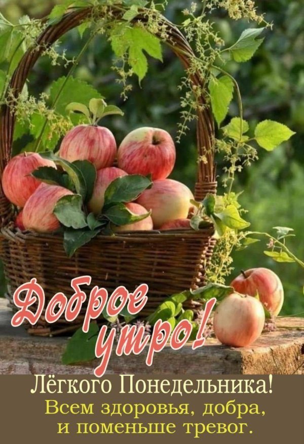 лето август