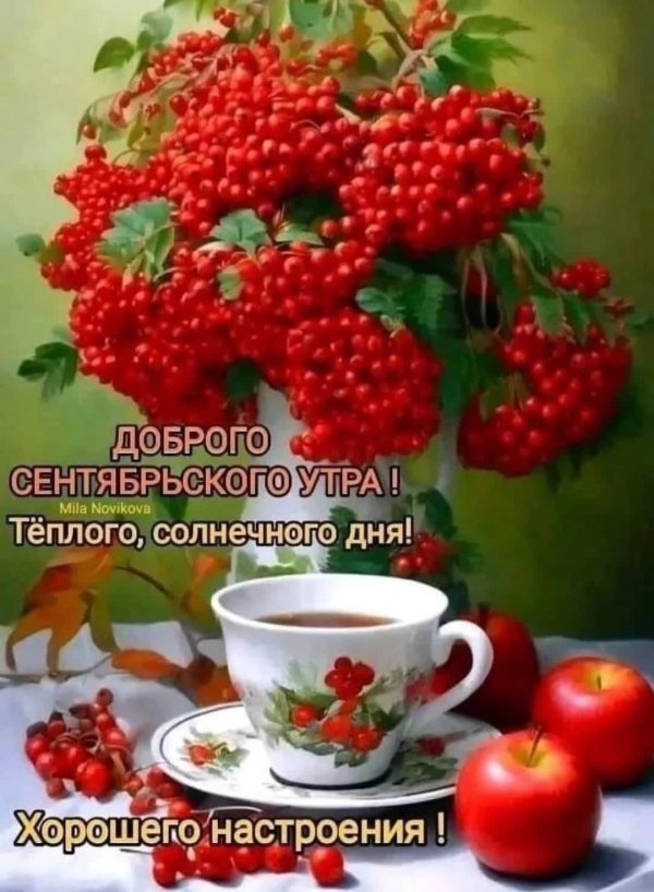 доброго сентябрьского утра