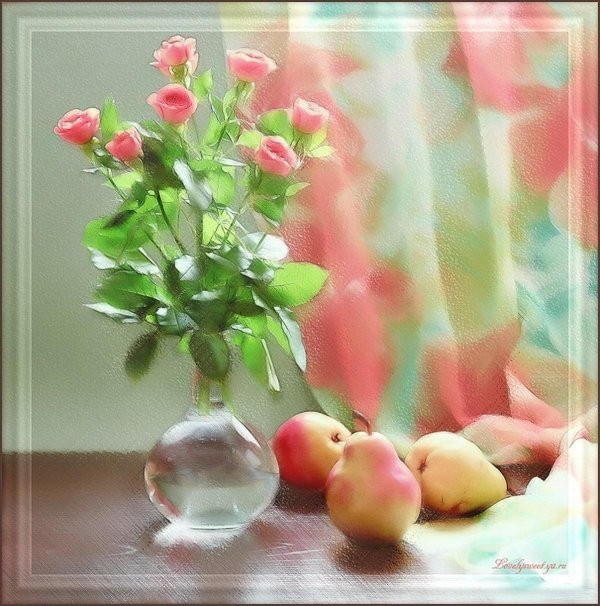 фотонатюрморты анна шевелева