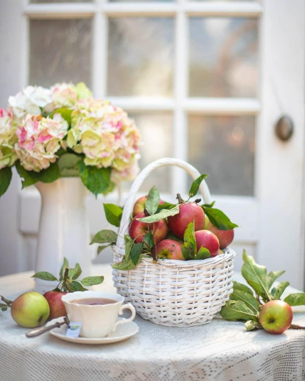 яблоки в корзине