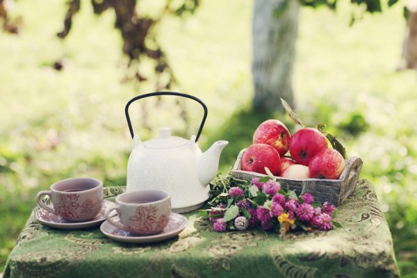чаепитие на природе
