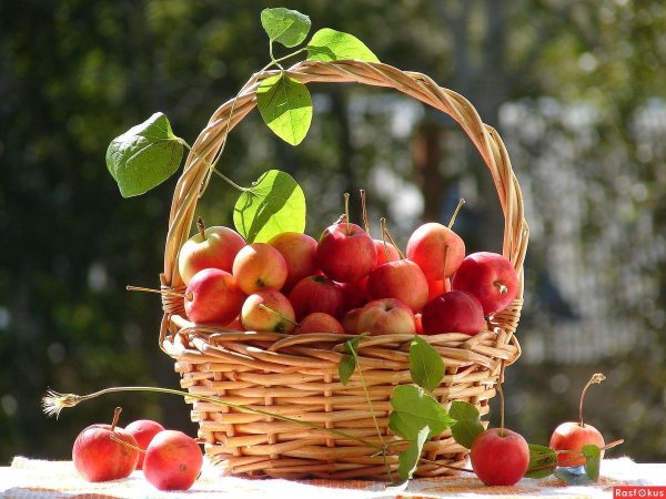 лето август