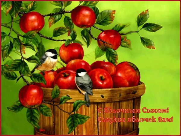 открытка яблочного спаса