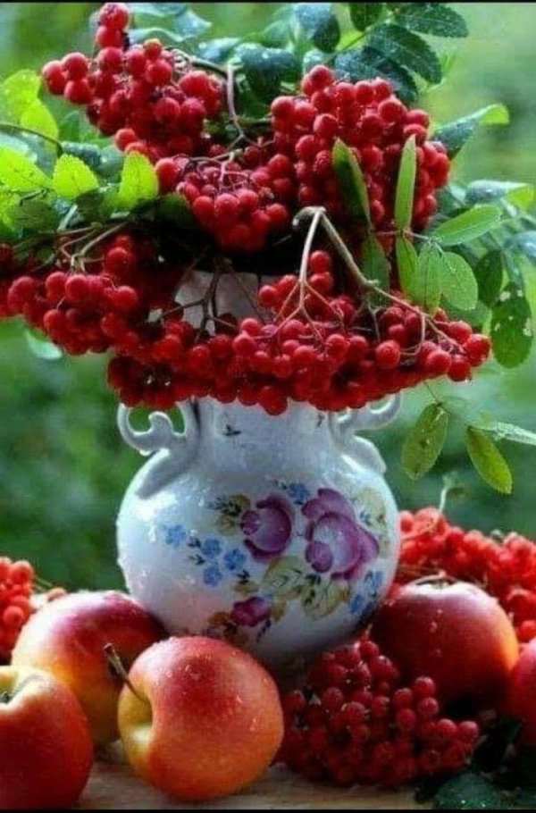 доброго августовского утра