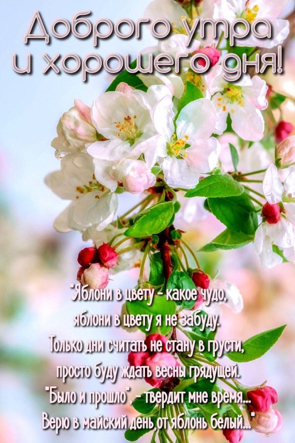 доброго утра весна