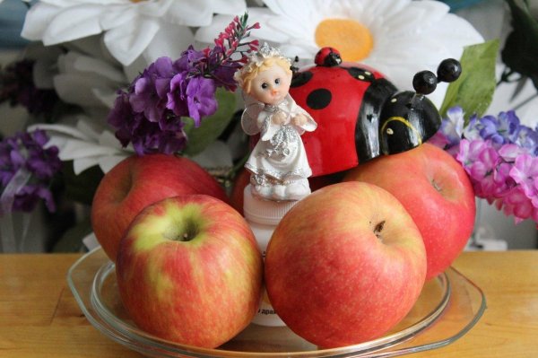 сорта яблок