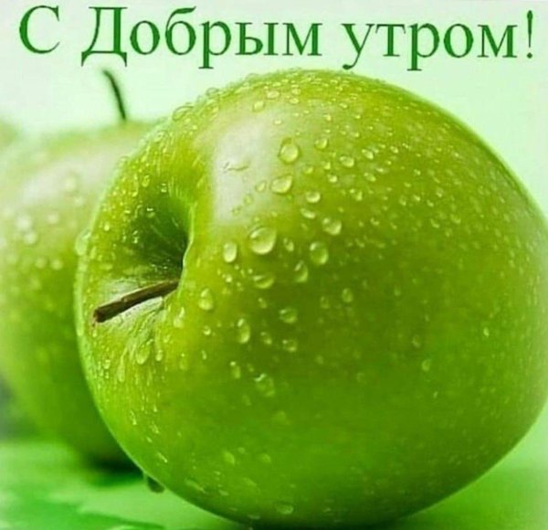 зеленое яблоко