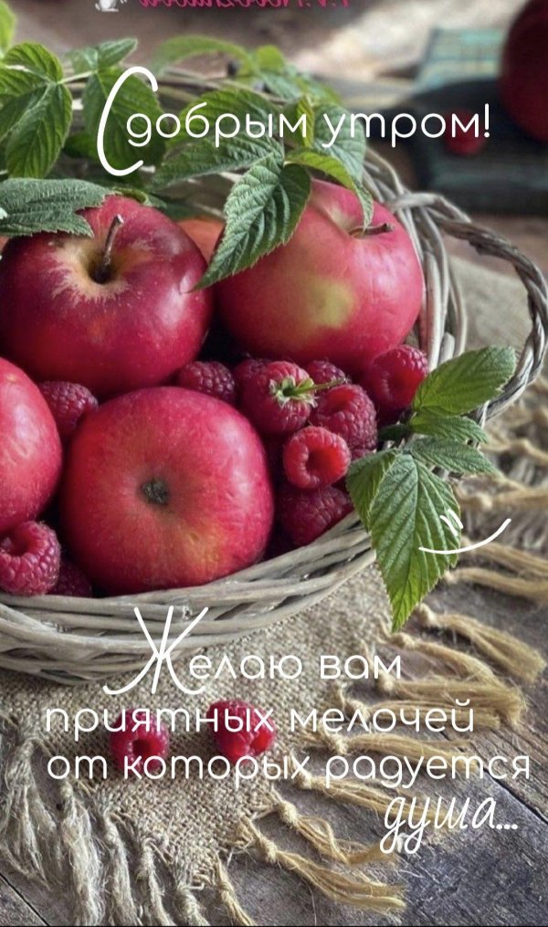 лето август