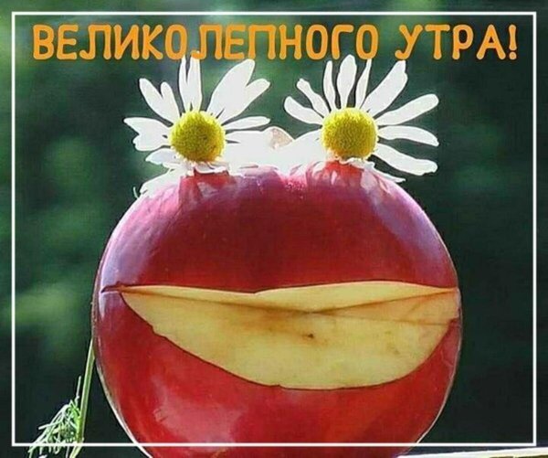с добрым утром яблоки