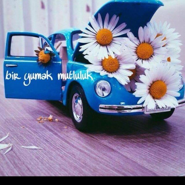 автомобили красивые