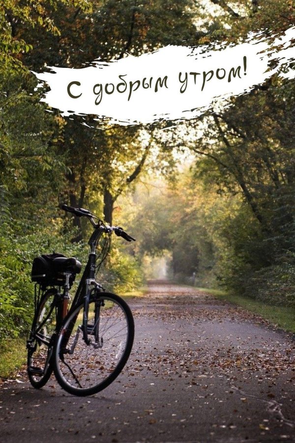 велосипед в лесу