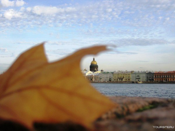 питер осень