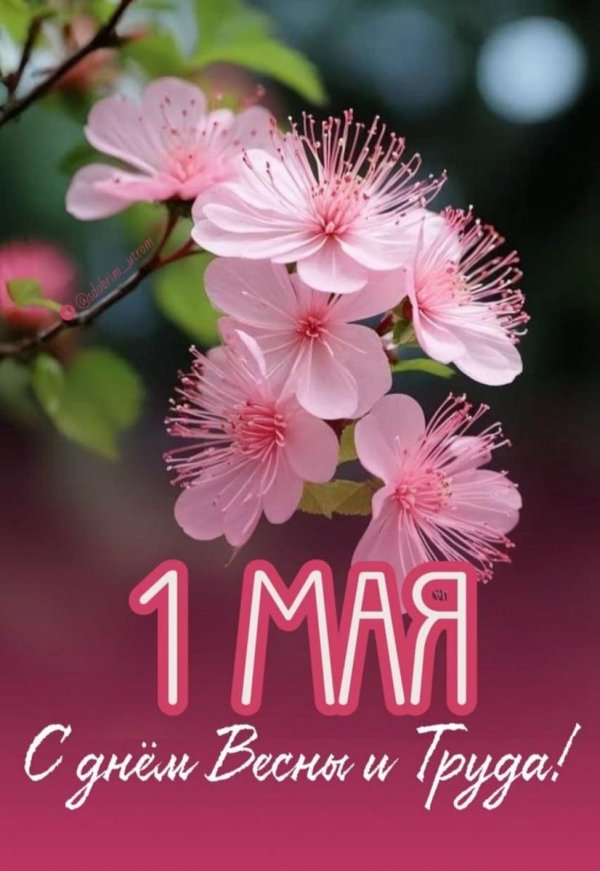 1 мая праздник весны и труда