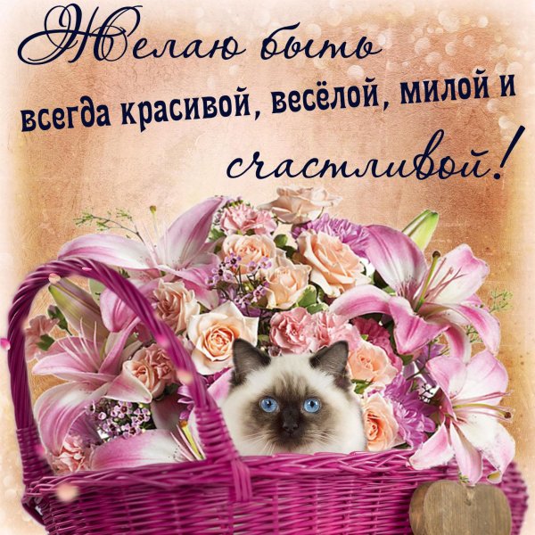 пожелания красивые