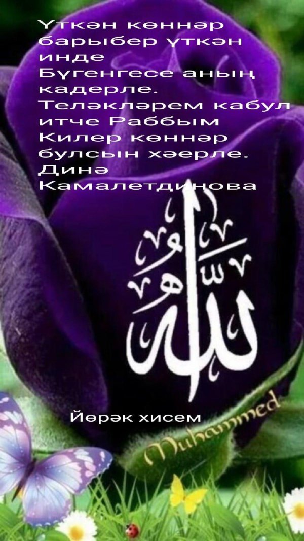 цветы ислам