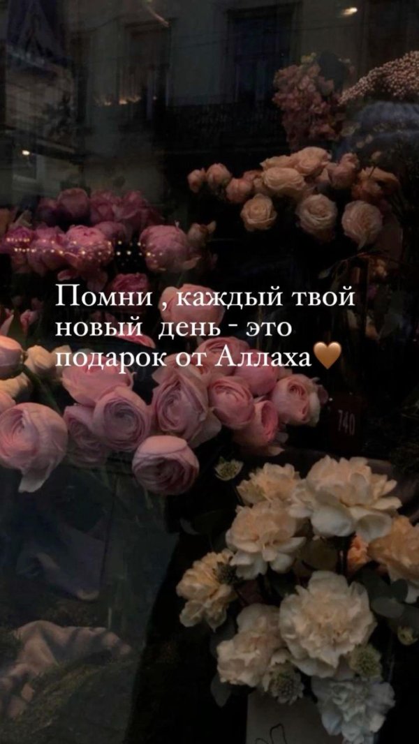 цитаты аллаха