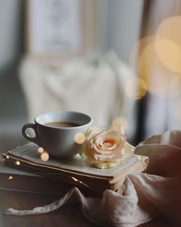 нежного утра