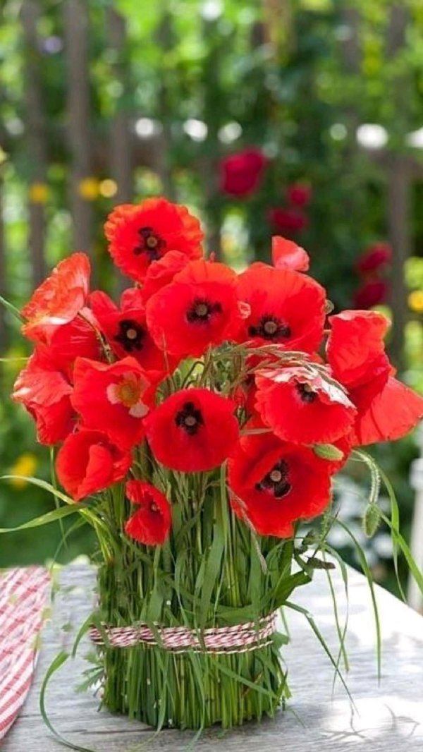 букет маков