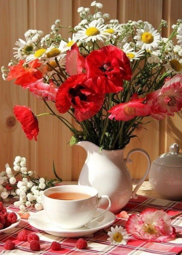 утренние цветы