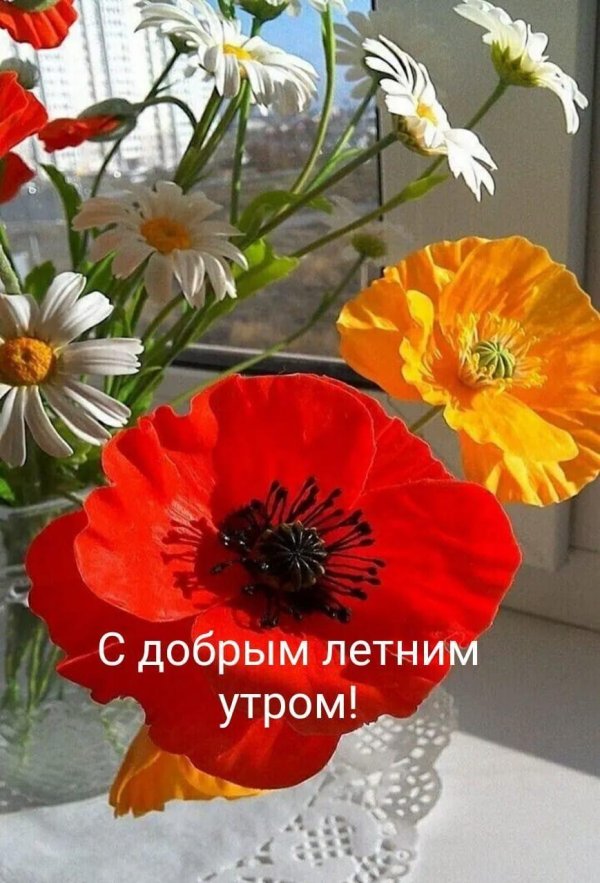 с добрым июльский утром