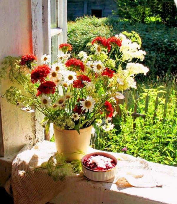 цветок на подоконнике