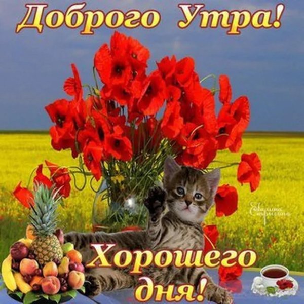 яркого дня и хорошего настроения