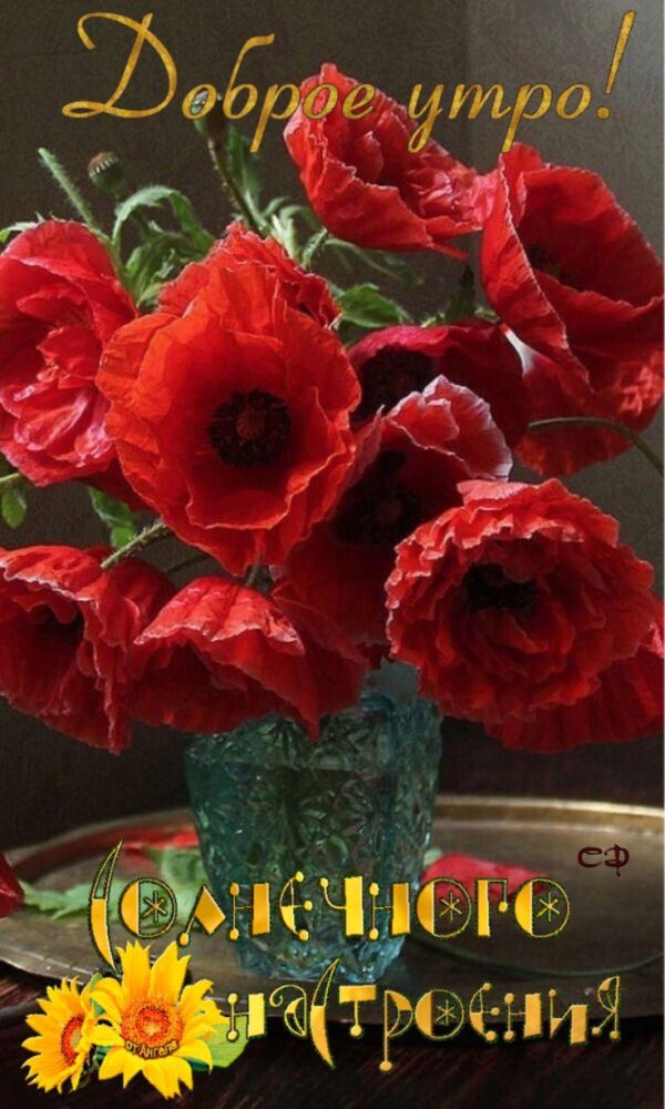 букет маков