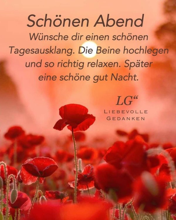 schönen abend bilder