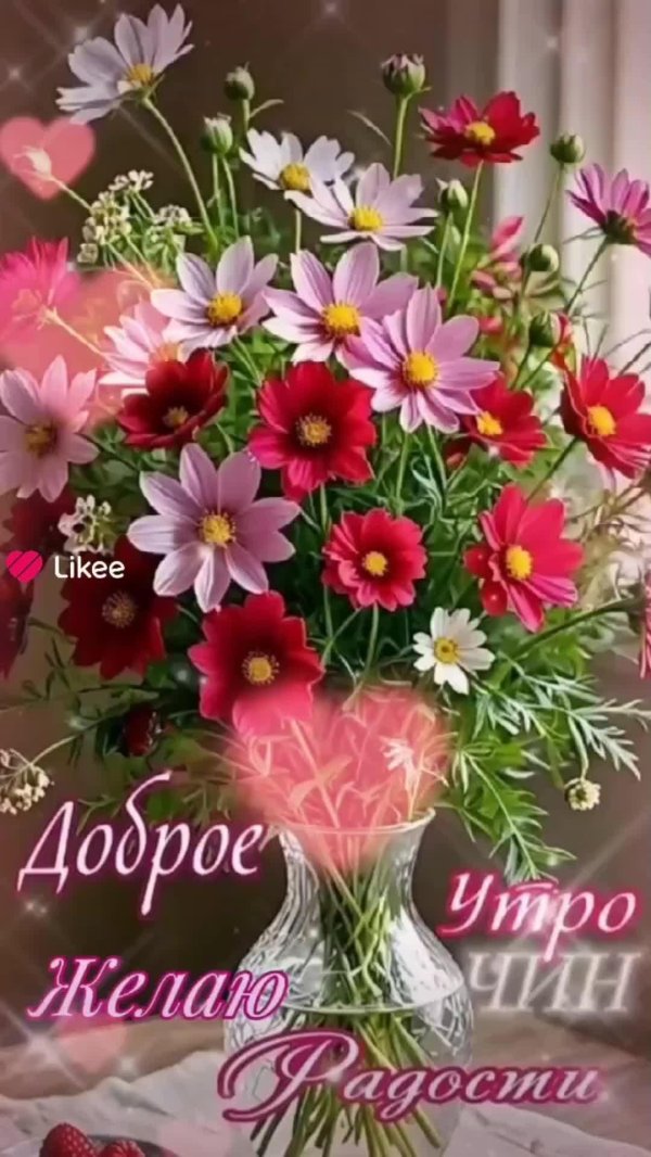 цветок космеи